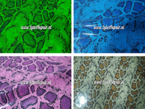 Peau de serpent  width=