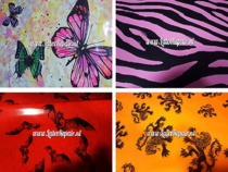 Divers animaux  width=