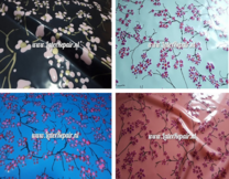 BLOSSOM  width=