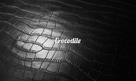 Krokodil latex crocodile 04