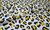 Latex sheet - Leopard creme, zwart en geel